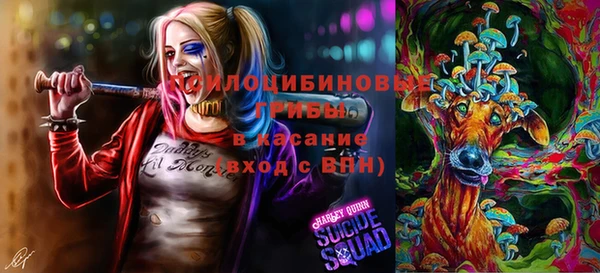 стафф Богданович